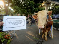 Wali Kota Bandung: Kurban Terdistribusi Merata, Sampah Terkendali