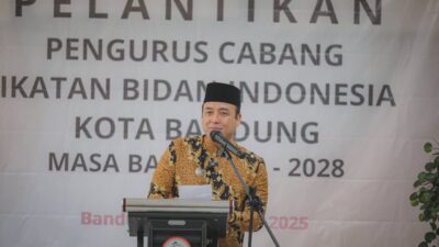 Erwin: Bidan Adalah Garda Terdepan Kesehatan Ibu dan Anak