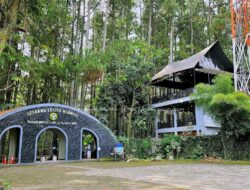 Tahura Djuanda Bandung Jadi Alternatif Wisata Lebaran, Hadirkan Alam dan Edukasi
