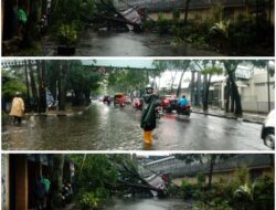 Hujan Deras Guyur Kota Bandung, 31 Pohon Tumbang dan Tanggul Jebol